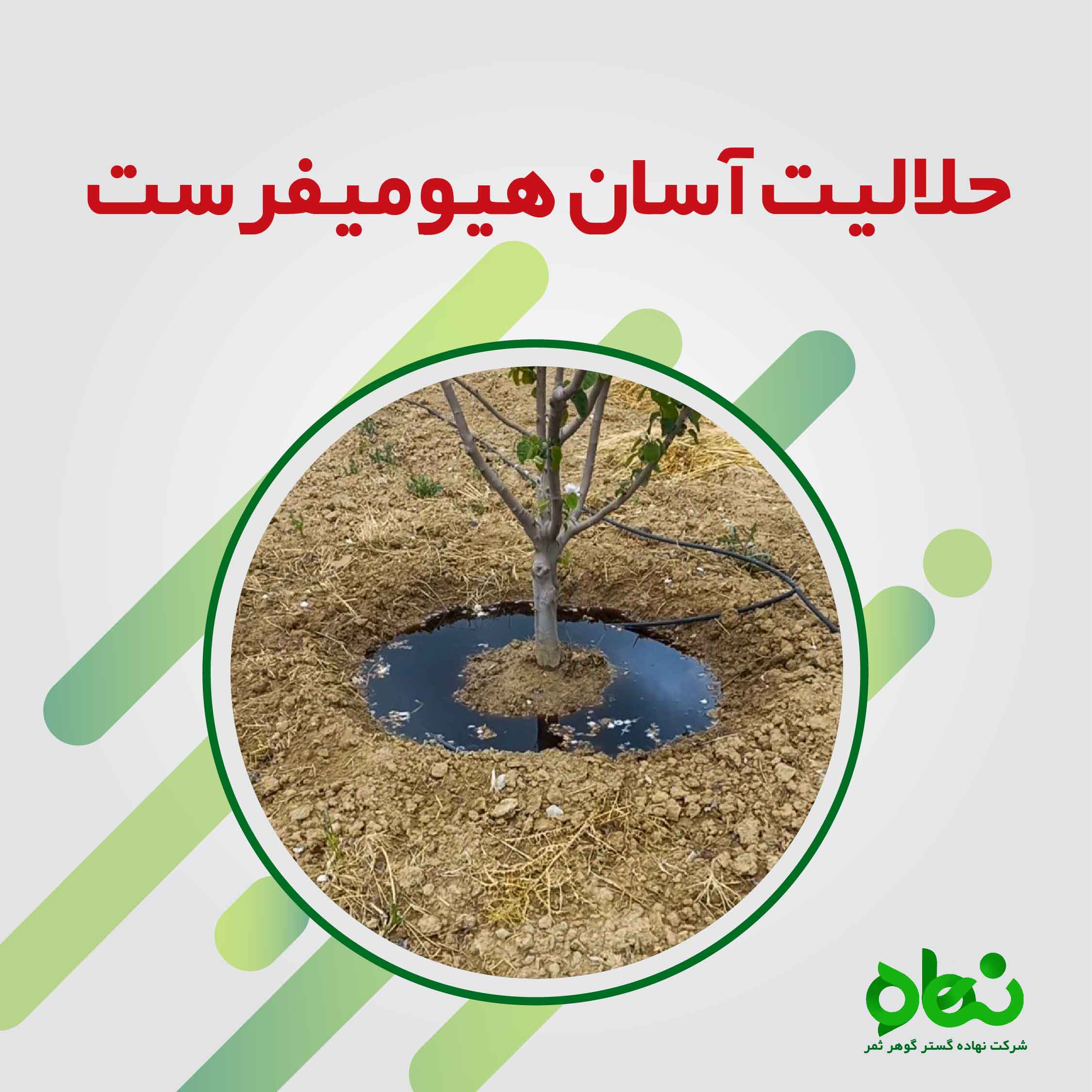 حلالیت آسان هیومیفرست 